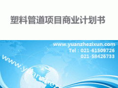 專業(yè)項(xiàng)目投資融資計(jì)劃書撰寫服務(wù) 中英文版本與全方位咨詢支持